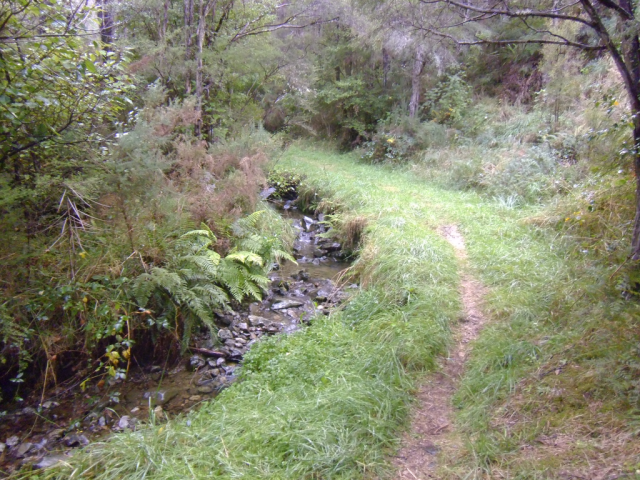 2012-04-28 07.40.46